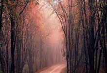 东升国际：拉基蒂奇社媒晒与孔德合照：很高兴见到你，祝剩余赛季好运.