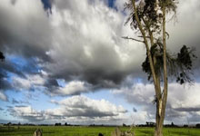 巴萨客战马竞大名单：佩德里、拉菲尼亚领衔，法蒂在列.