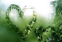 东升国际：张帅／姆拉德诺维奇组合不敌对手 止步澳网女双八强.