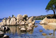 办赛精彩 参赛出彩 事业添彩 杭州亚残运会推进残疾人事业发展浙江在线-浙江日报.